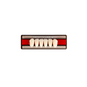 Dentoluxx V Anteriors Lower